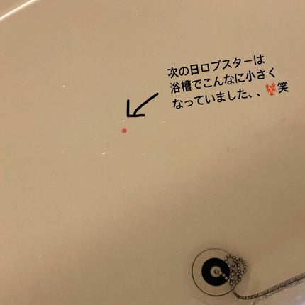 ミスターロバロバ/ラッシュ/炭酸系入浴剤を使ったクチコミ(5枚目)