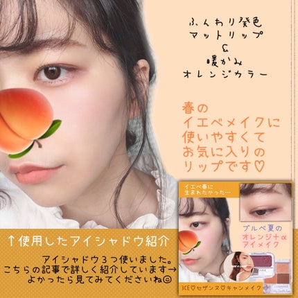 リシェ カラーリング アイブロウマスカラ/Visée/眉マスカラを使ったクチコミ(4枚目)