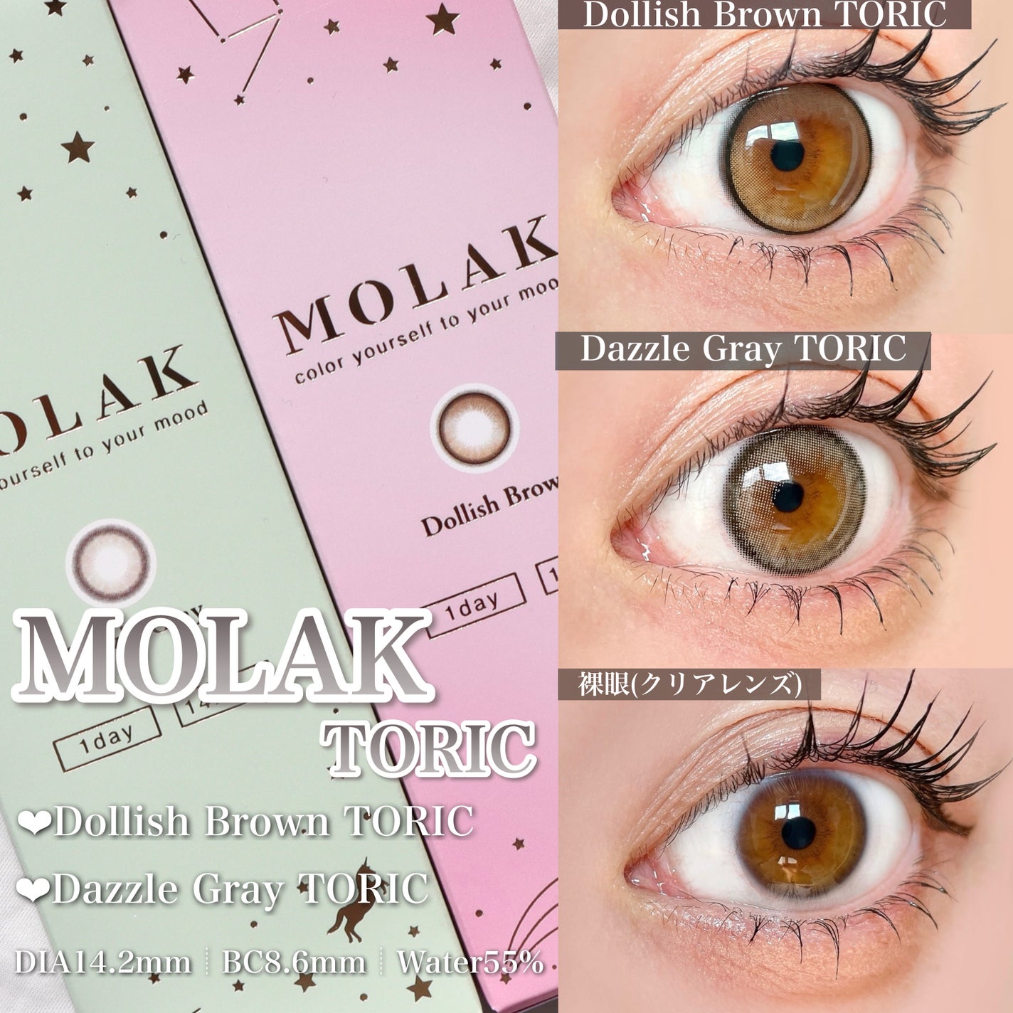 MOLAK TORIC 1day/MOLAK/ワンデー(1DAY)カラコンを使ったクチコミ(2枚目)
