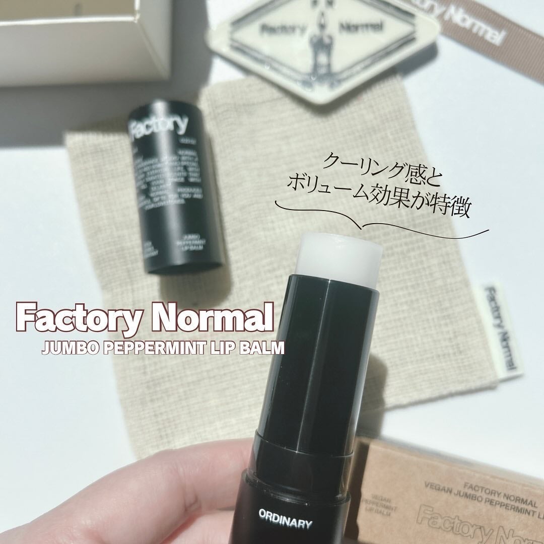 Vegan Jumbo Peppermint Lip Balm/Factory Normal/リップバームを使ったクチコミ(2枚目)