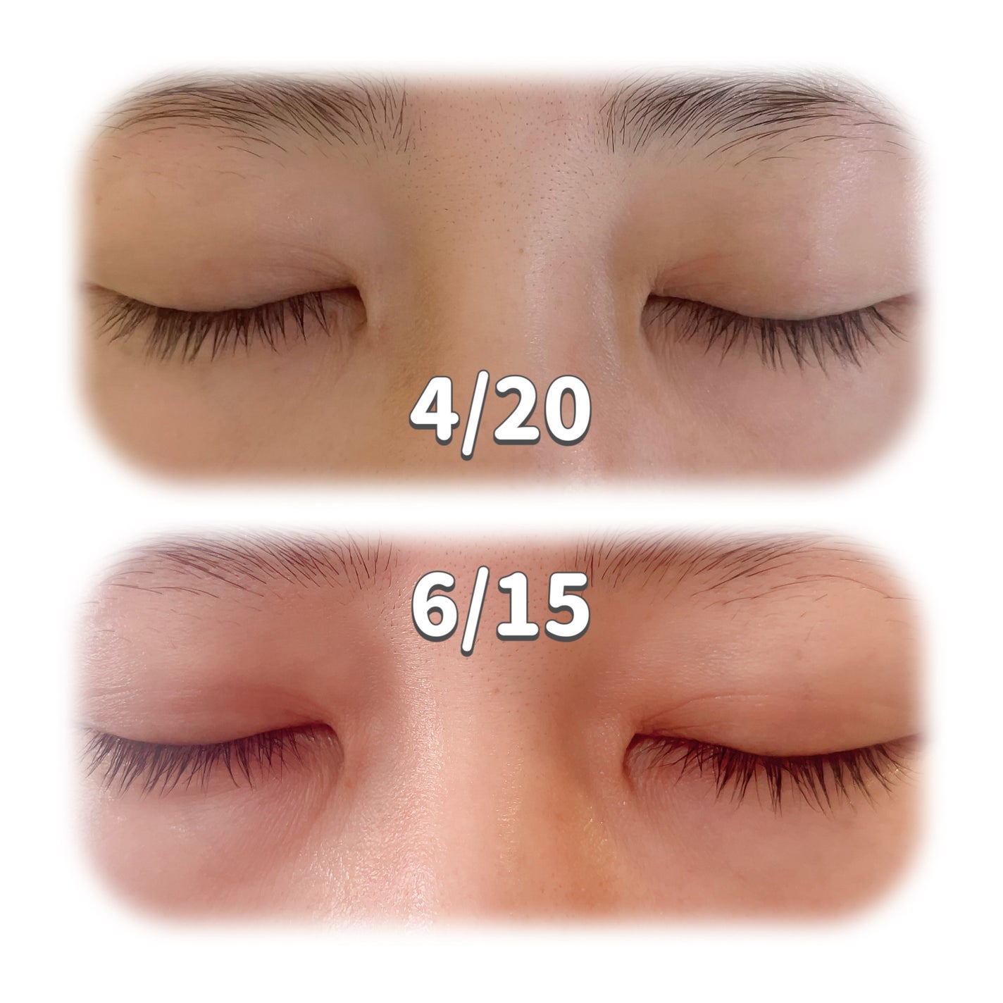 アイラッシュセラム100EX/COSNORI/まつげ美容液を使ったクチコミ(5枚目)