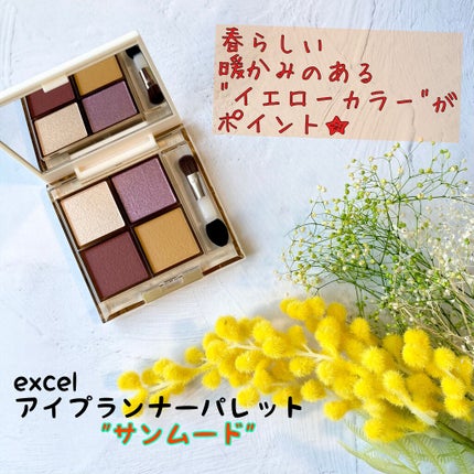 アイプランナーパレット/excel/アイシャドウパレットを使ったクチコミ(1枚目)