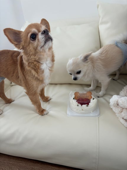 ヴェルニ ロング トゥニュ/CHANEL/マニキュアを使ったクチコミ(7枚目)