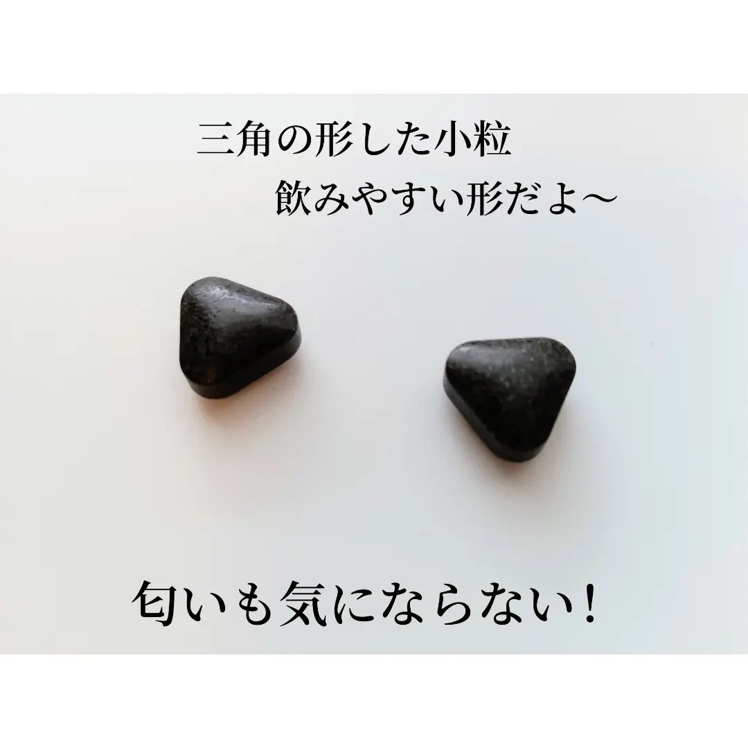 ザ・鉄分/ミナミヘルシーフーズ/健康サプリメントを使ったクチコミ（2枚目）