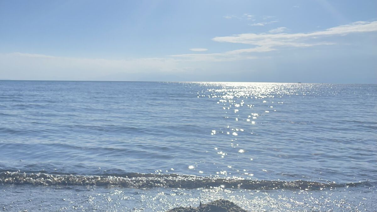 ウィークリージェル/HOMEI/ジェルネイルを使ったクチコミ（1枚目）