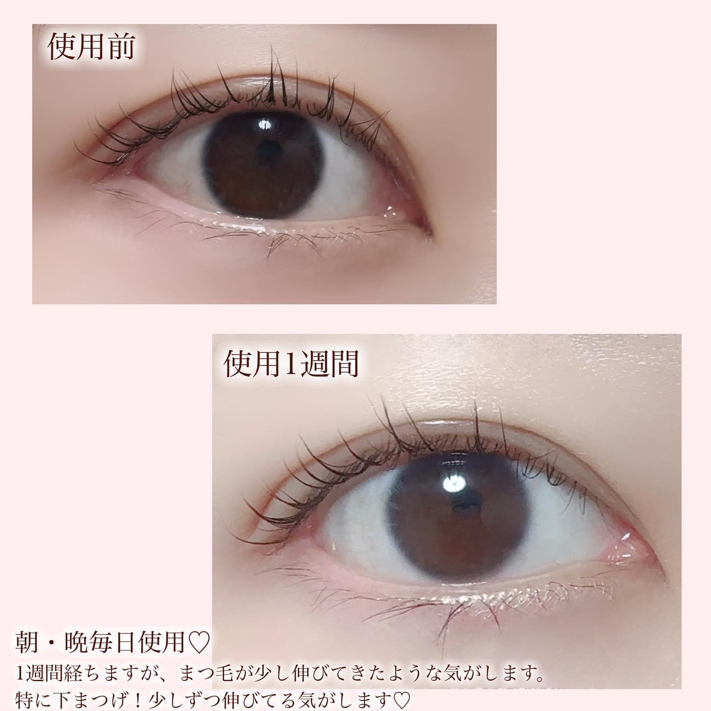 アイラッシュセラム/イナータス/まつげ美容液を使ったクチコミ（3枚目）