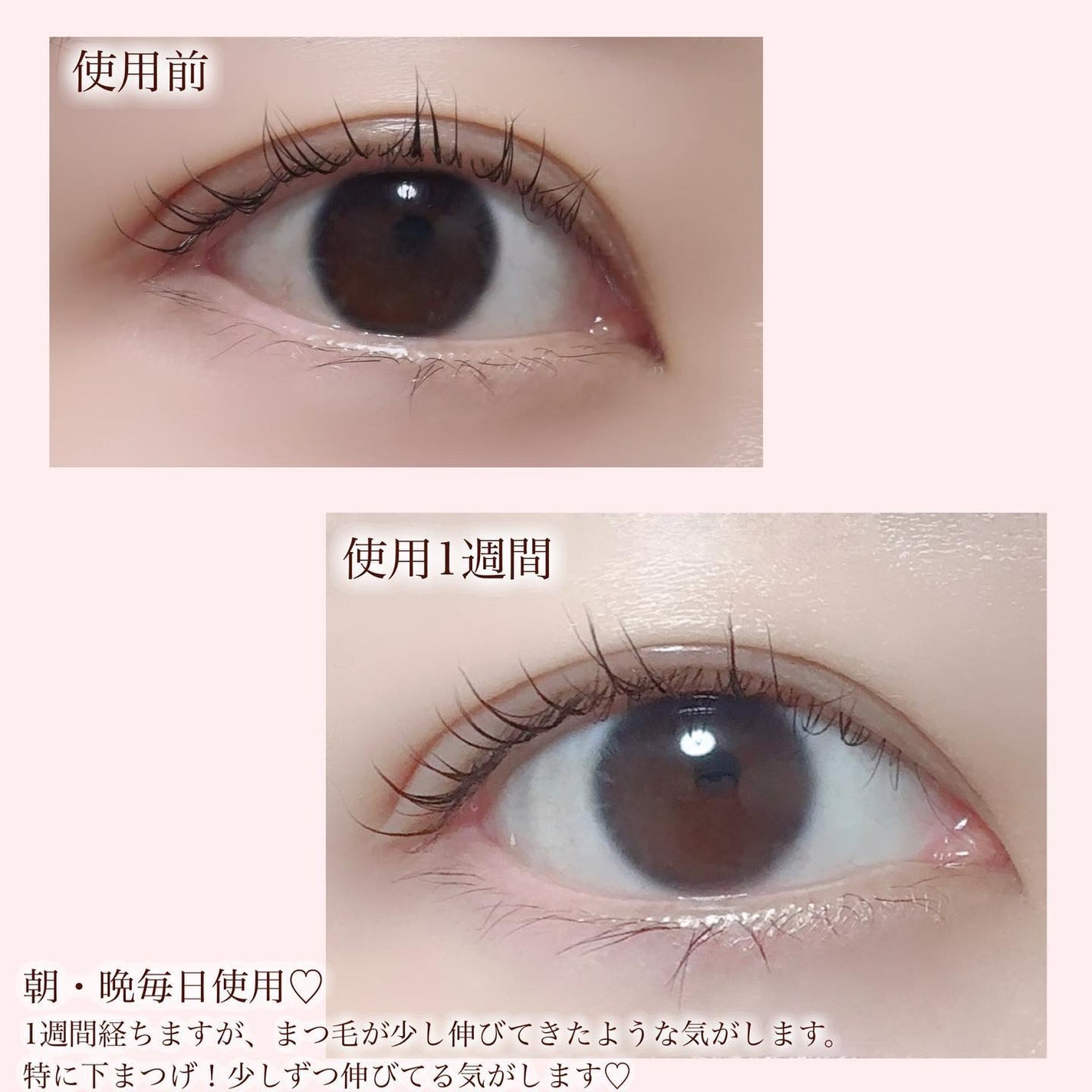アイラッシュセラム/イナータス/まつげ美容液を使ったクチコミ(3枚目)