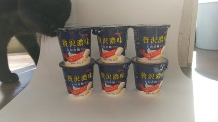 ヨナ フォロバ100 on LIPS 「コスメの撮影をしていると、高頻度で猫が撮影の邪魔をしてきます❤..」(4枚目)