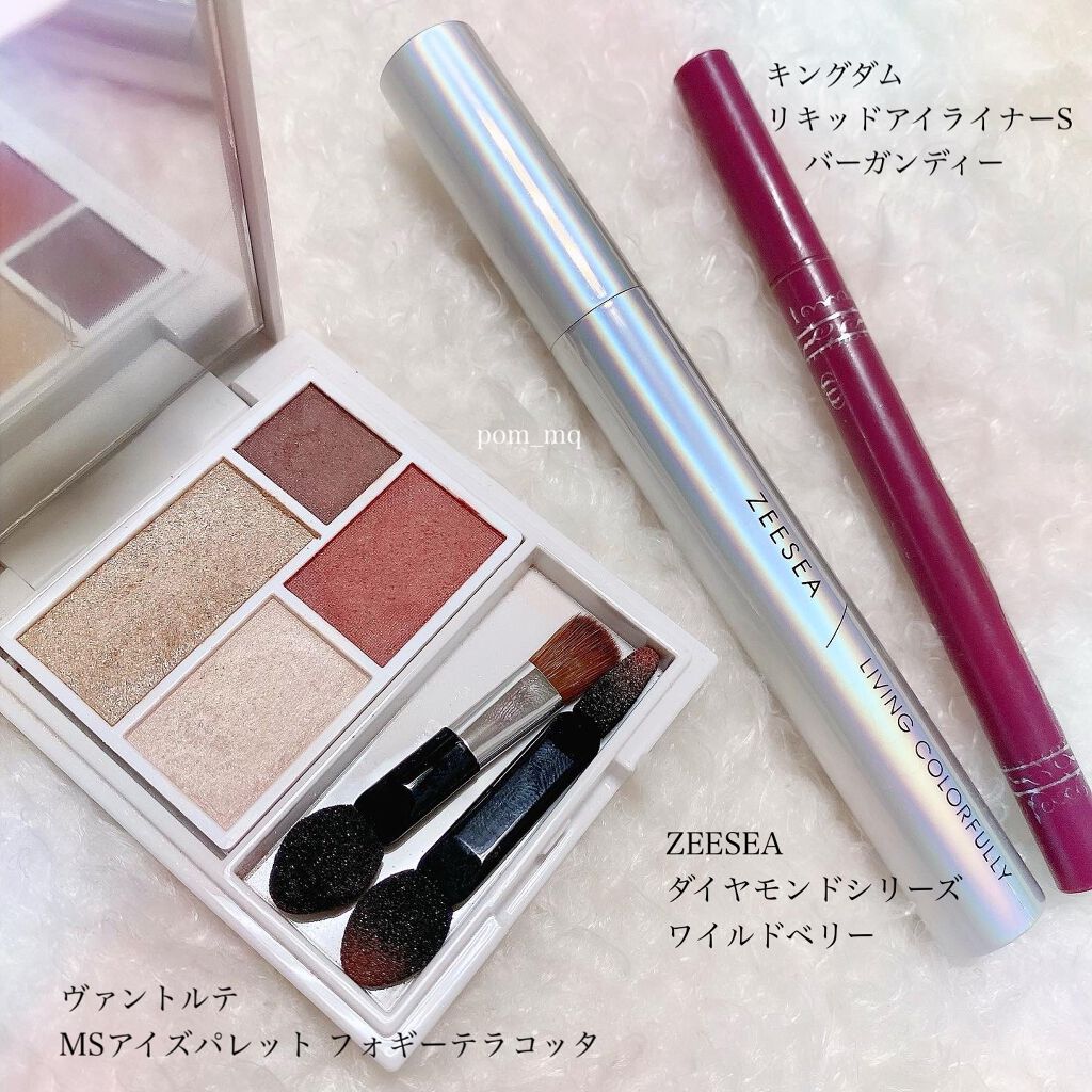 ミネラルシルクアイズパレット フォギーテラコッタ/ヴァントルテ/アイシャドウパレットを使ったクチコミ（2枚目）