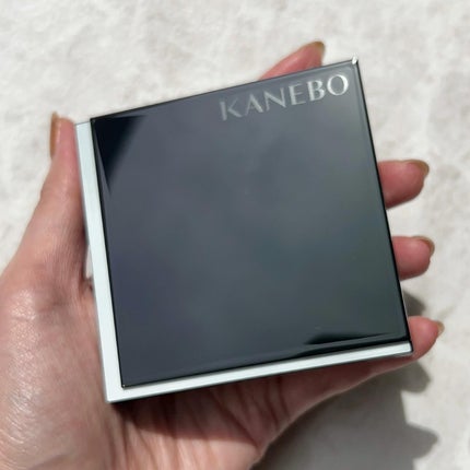 ルージュスターヴァイブラント/KANEBO/口紅を使ったクチコミ(4枚目)