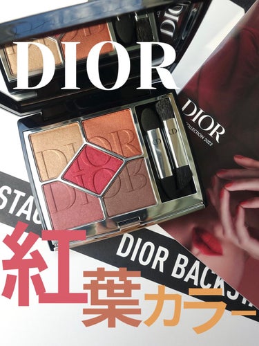 【旧】サンク クルール クチュール/Dior/アイシャドウパレットを使ったクチコミ（1枚目）