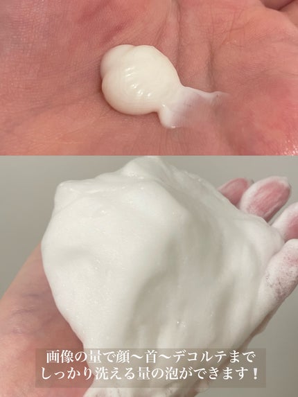 ãã©ãã£ã¢ã³ã¹ ãšã¢ãªãŒã¯ãªãŒã ãŠã©ãã·ã¥/DECORTÃ/æŽé¡ãã©ãŒã ã䜿ã£ãã¯ãã³ãïŒ2æç®ïŒ