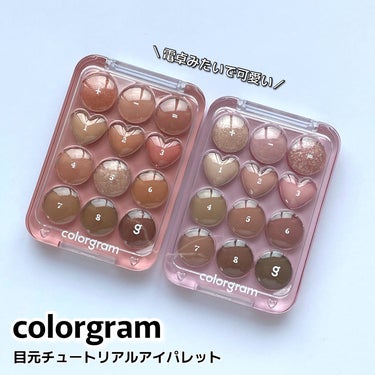 ピンポイントアイシャドウパレット/Colorgram/アイシャドウパレットを使ったクチコミ（1枚目）