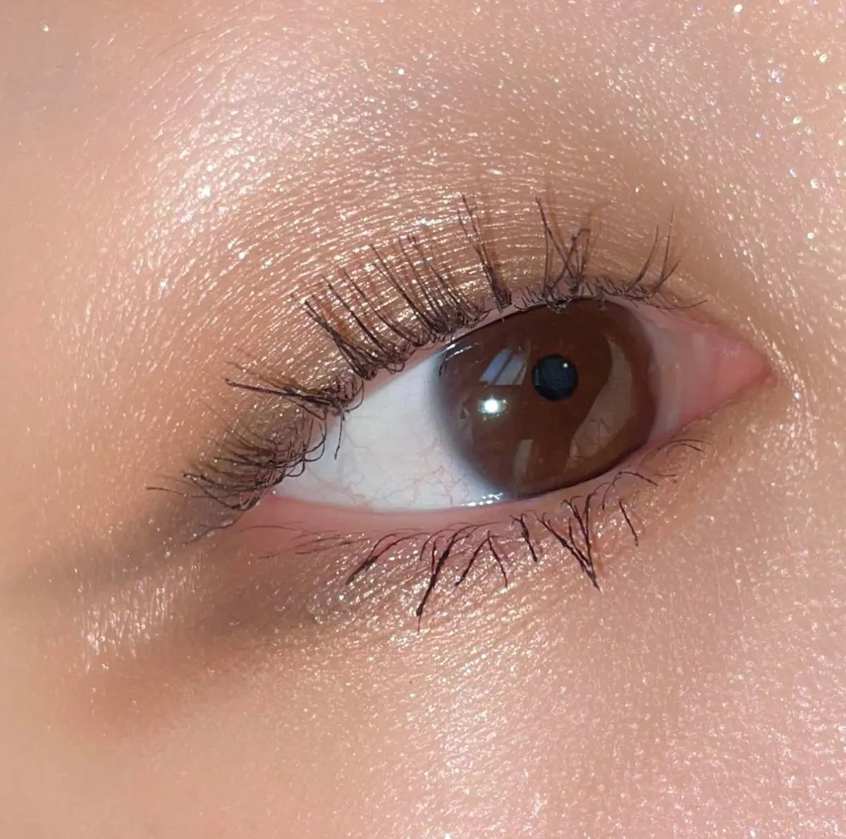 ブラシひと塗りシャドウN/オーブ/アイシャドウパレットを使ったクチコミ（2枚目）