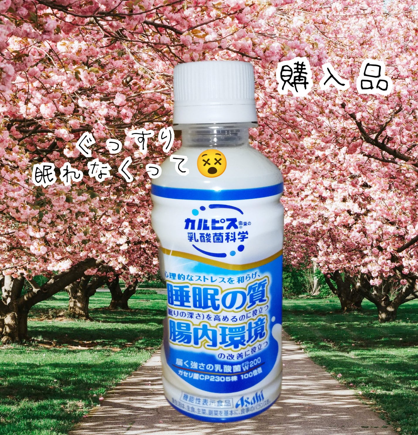 カルピス 睡眠の質 腸内環境/カルピス/乳酸菌飲料を使ったクチコミ(1枚目)