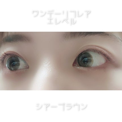 1DAY Refrear elebelle/Refrear/ワンデー(1DAY)カラコンを使ったクチコミ(3枚目)