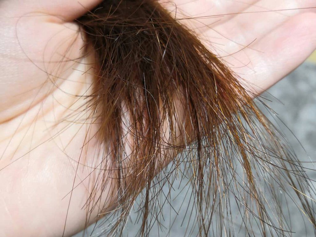 ボリュームケアシャンプー／トリートメント/AROMA KIFI/シャンプー・コンディショナーを使ったクチコミ（3枚目）