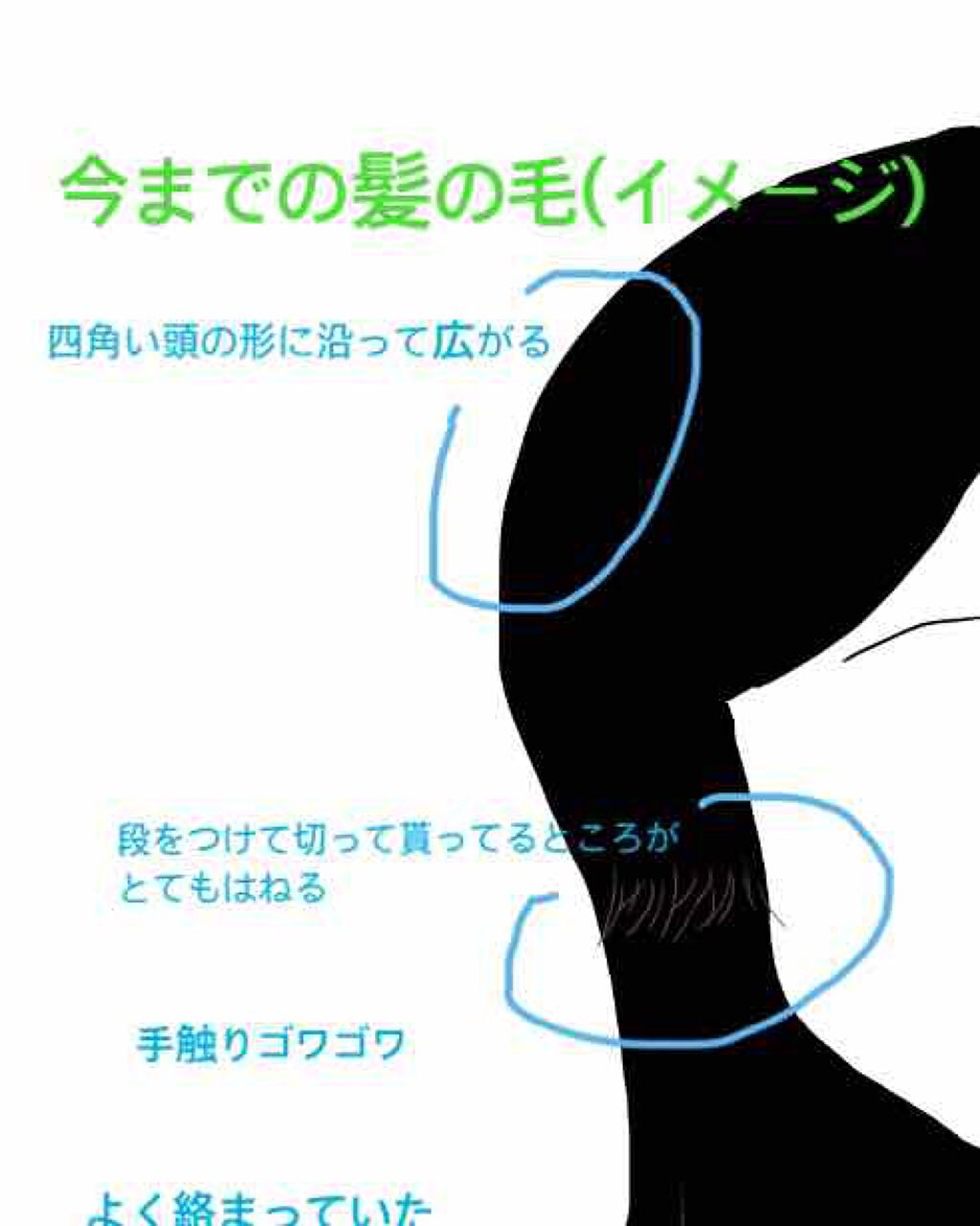 エルジューダ エマルジョン＋/エルジューダ/ヘアミルクを使ったクチコミ（3枚目）