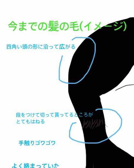 ボタニカルシャンプー/トリートメント(モイスト)/BOTANIST/シャンプー・コンディショナーを使ったクチコミ(3枚目)