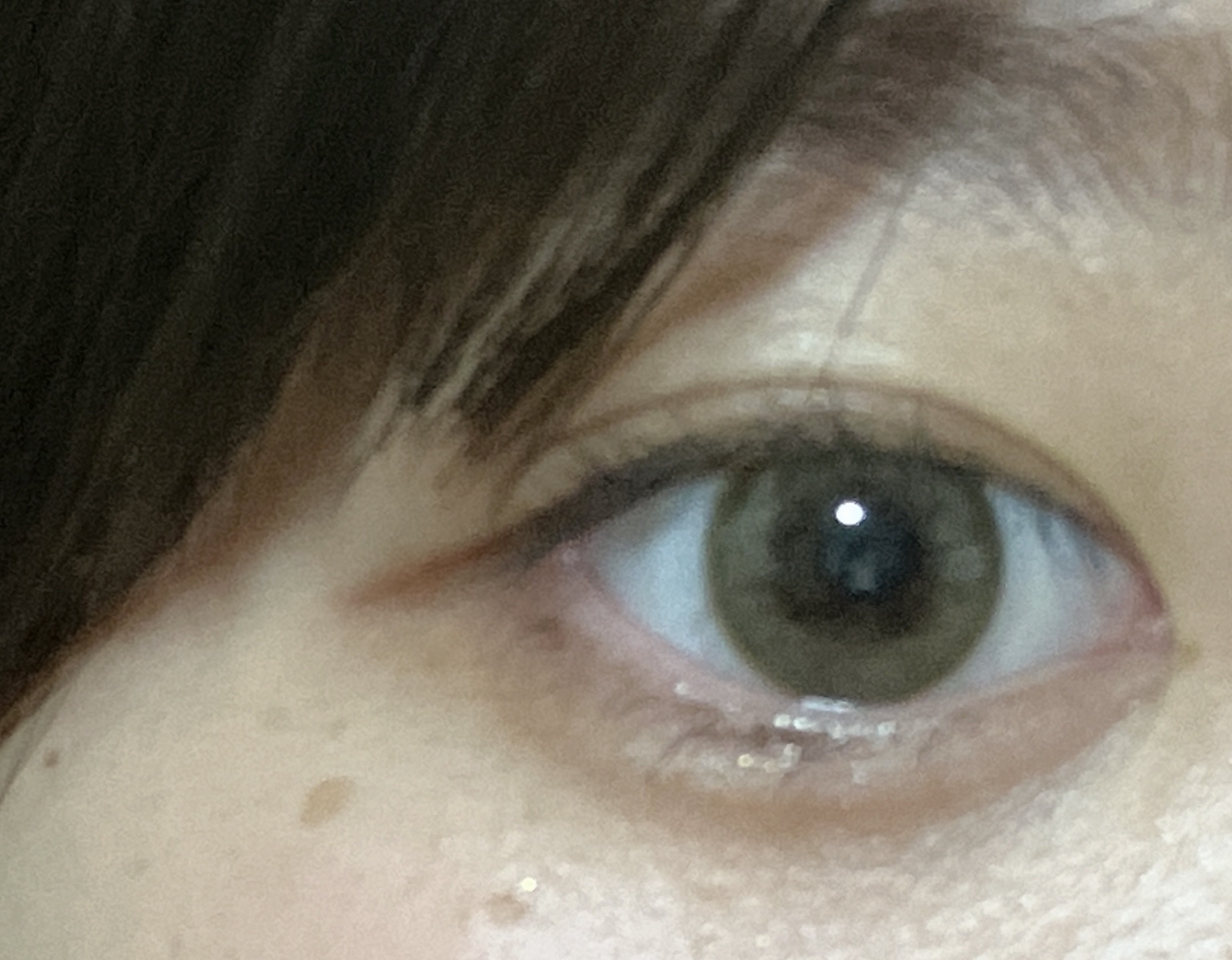 feliamo 1day/feliamo/ワンデー（１DAY）カラコンを使ったクチコミ（2枚目）