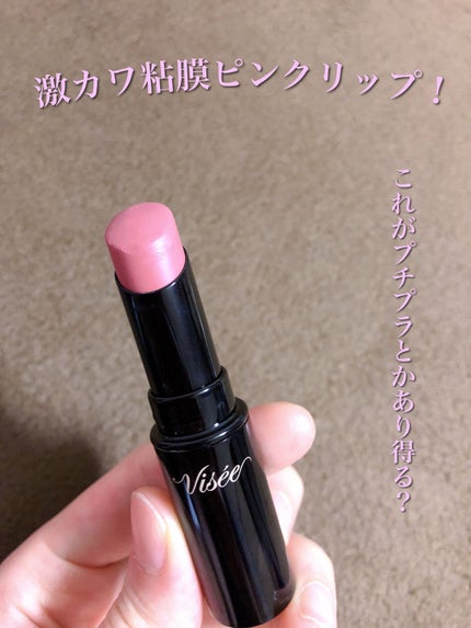 ネンマクフェイク ルージュ/Visée/口紅を使ったクチコミ(1枚目)