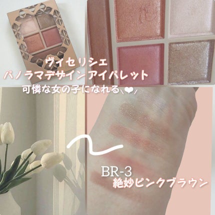 パノラマデザイン アイパレット/Visée/アイシャドウパレットを使ったクチコミ(1枚目)