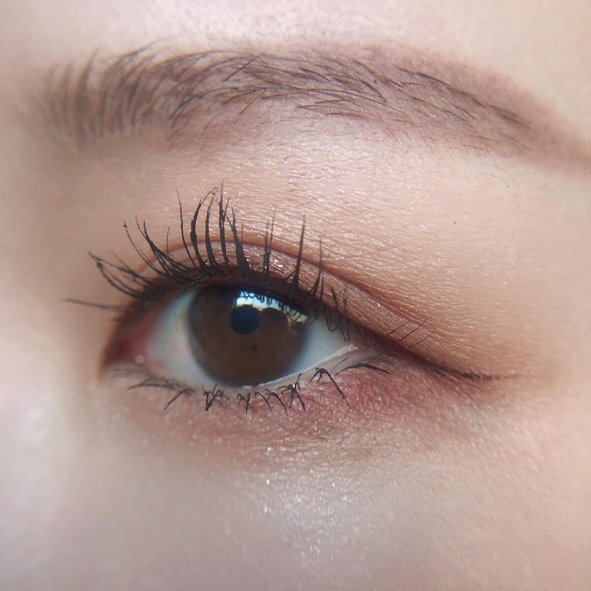 あゆみ on LIPS 「・\#todaysmake/・アイシャドウ☑@cezannec..」(3枚目)