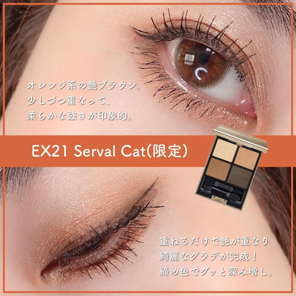 アイカラーレーション/LUNASOL/アイシャドウパレットを使ったクチコミ(3枚目)