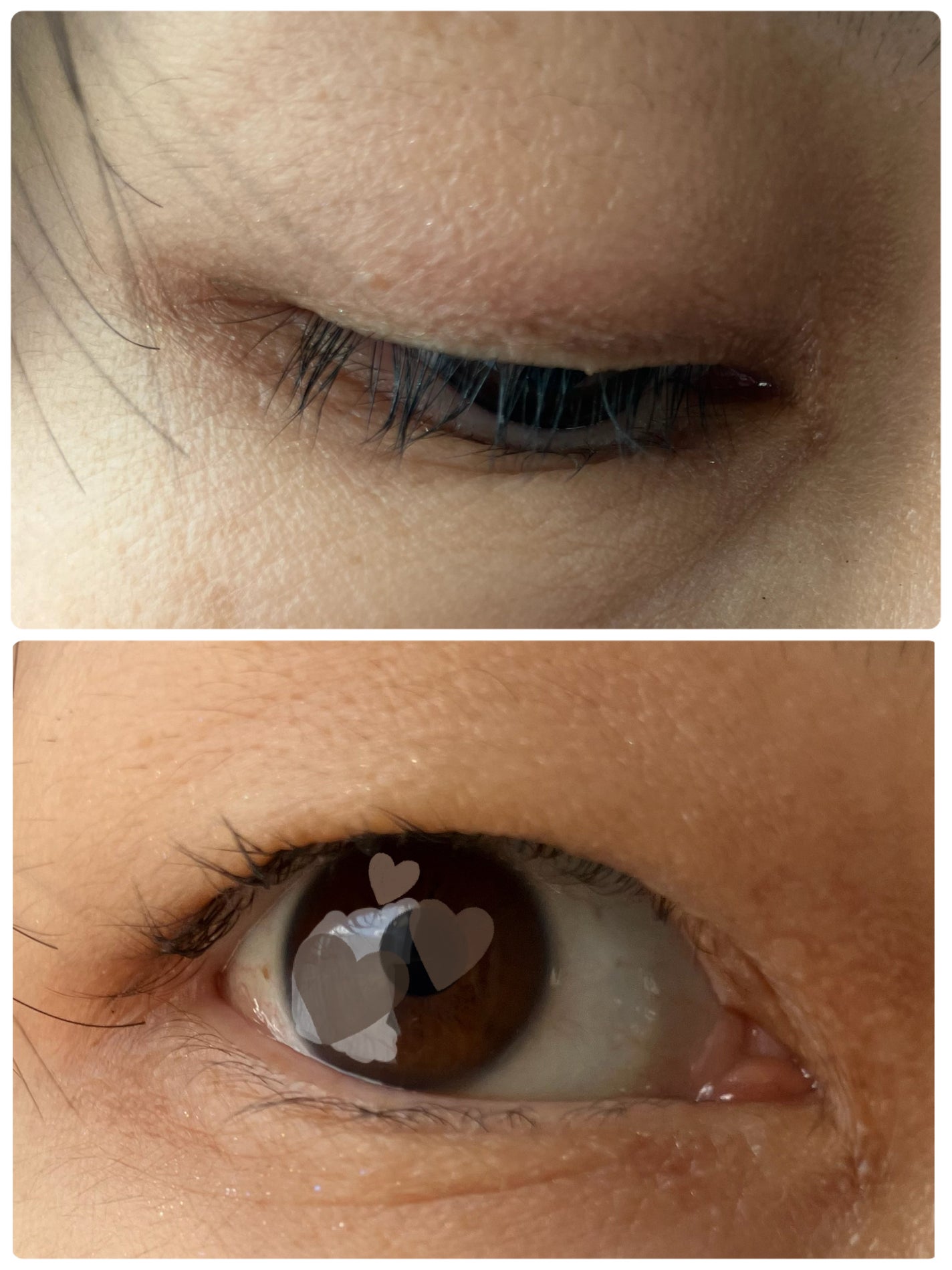 エテュセ アイエディション(カラーパレット)/ettusais/アイシャドウパレットを使ったクチコミ(3枚目)