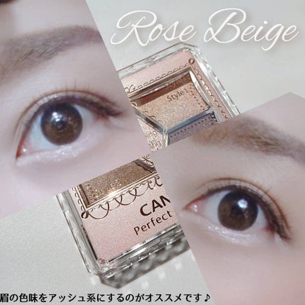 パーフェクトスタイリストアイズ/キャンメイク/アイシャドウパレットを使ったクチコミ(6枚目)