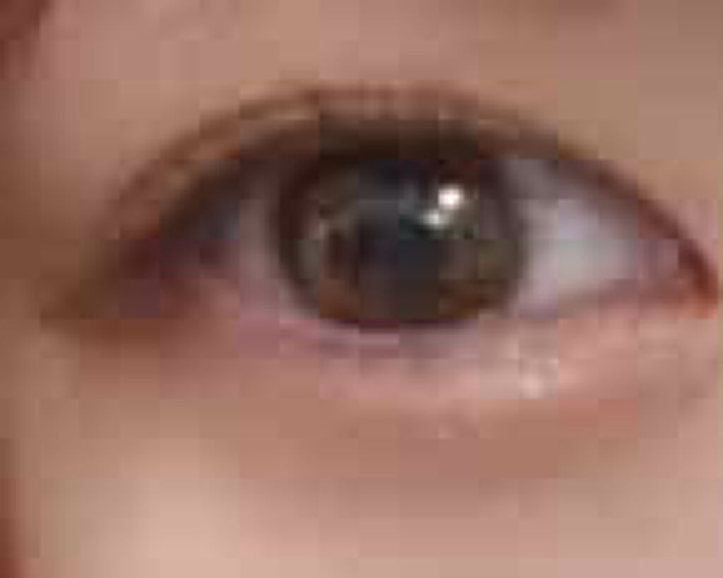 ショコラスウィート アイズ/リンメル ロンドン/アイシャドウパレットを使ったクチコミ（1枚目）