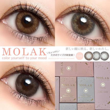 MOLAK 1day/MOLAK/ワンデー(1DAY)カラコンを使ったクチコミ(1枚目)