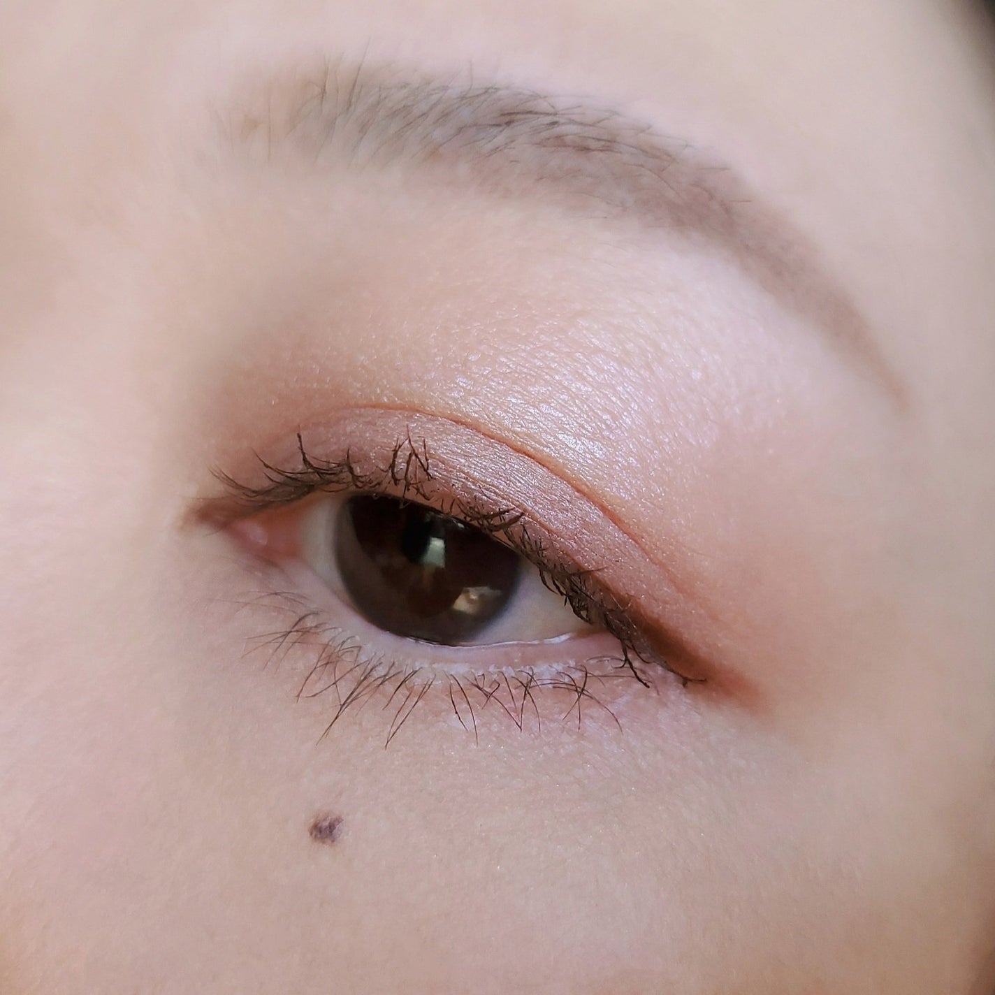 クイックラッシュカーラー ロングマスカラ/キャンメイク/マスカラを使ったクチコミ(5枚目)