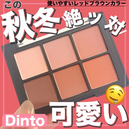 ブラーフィニシュシャドウパレット/Dinto/アイシャドウパレットを使ったクチコミ(1枚目)