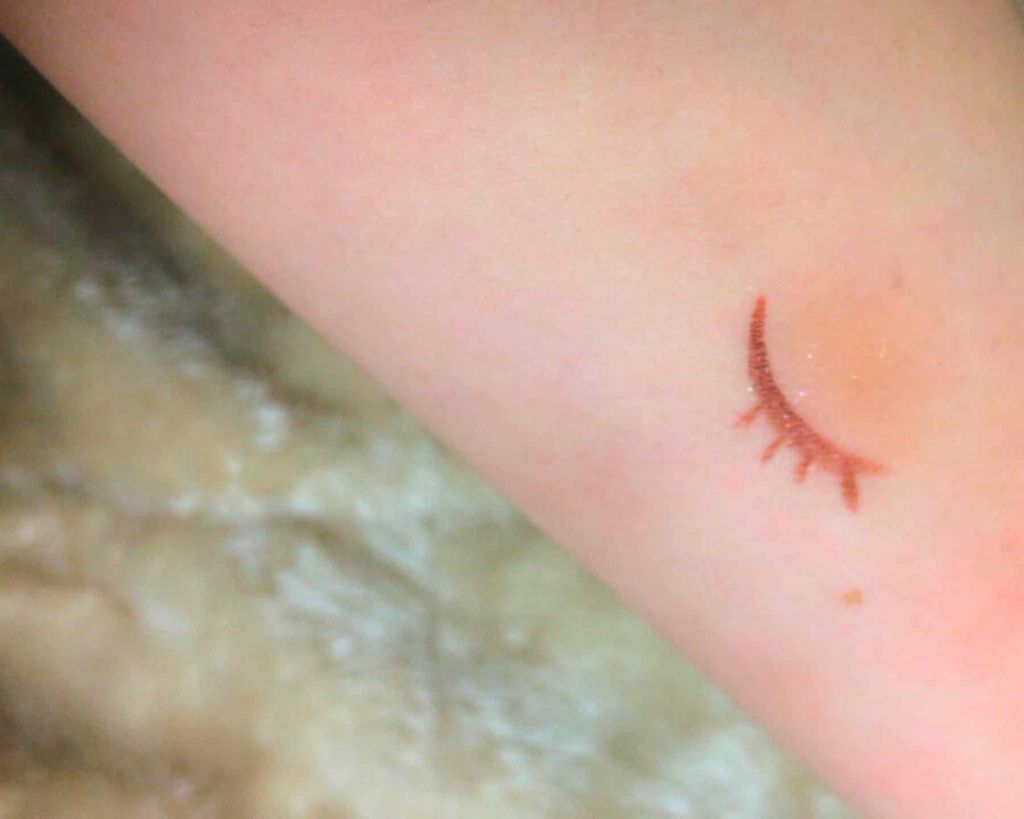 アイ オープナー(旧)/MARY QUANT/単色アイシャドウを使ったクチコミ（2枚目）