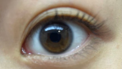 クイックラッシュカーラー/キャンメイク/マスカラ下地を使ったクチコミ(4枚目)