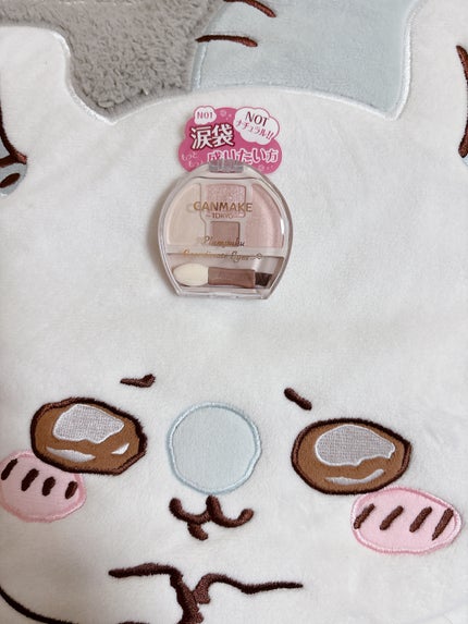 プランぷくコーデアイズNeo/キャンメイク/アイシャドウを使ったクチコミ(1枚目)