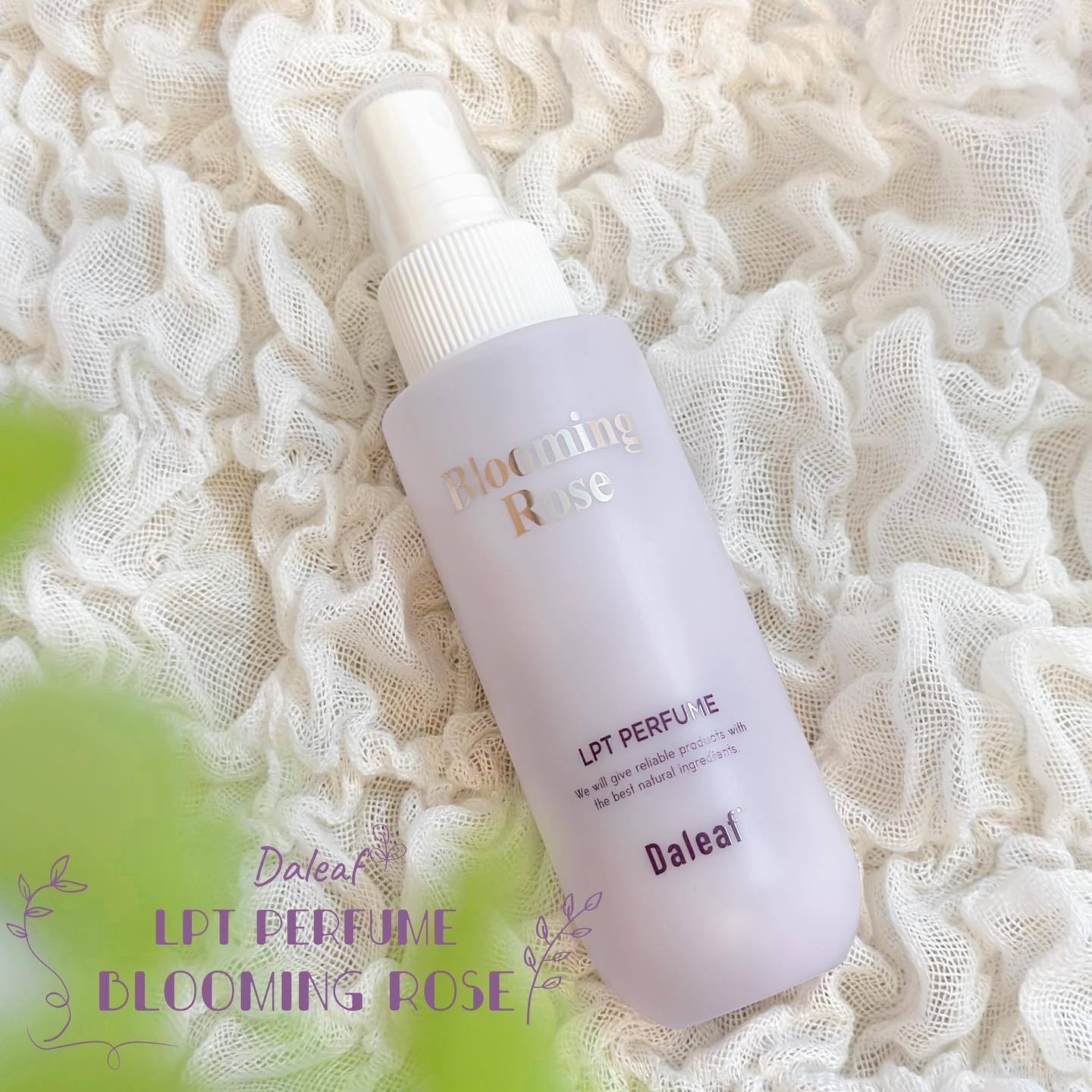 パフュームヘアパックインミスト Pink Breeze/Daleaf/アウトバストリートメントを使ったクチコミ（1枚目）