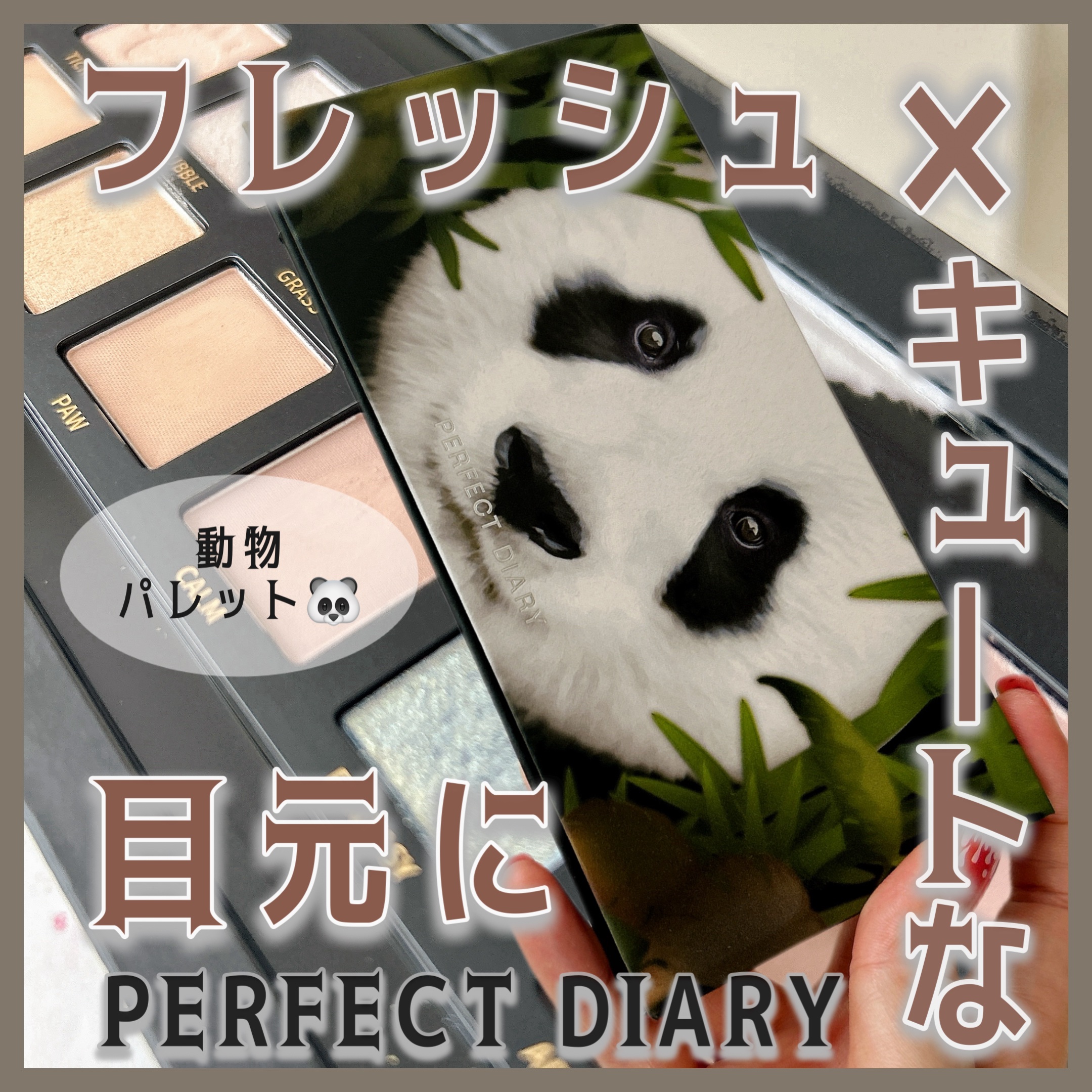 ・
・
エクスプローラ 12色動物アイシャドウパレット
 06 パンダ
 
普段の日も特別な日も、高密着＆高発色
4種のテクスチャーでどんなシーンにも
使いやすい上品かつ可愛さも兼ね備えたパレット🫶
 
 
パンダからインスピレーションを