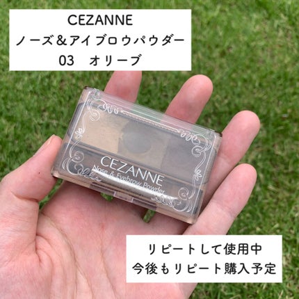 シェーディングパウダー/キャンメイク/シェーディングを使ったクチコミ(5枚目)