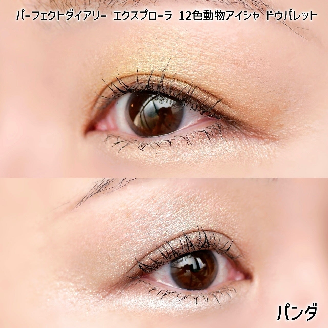 エクスプローラ12色 動物アイシャドウパレット/PERFECT DIARY/アイシャドウパレットを使ったクチコミ(4枚目)