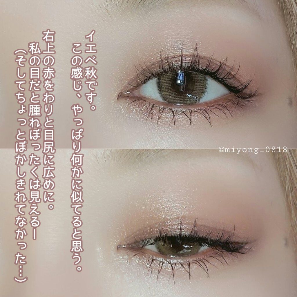 THE アイパレR/b idol/アイシャドウパレットを使ったクチコミ(2枚目)