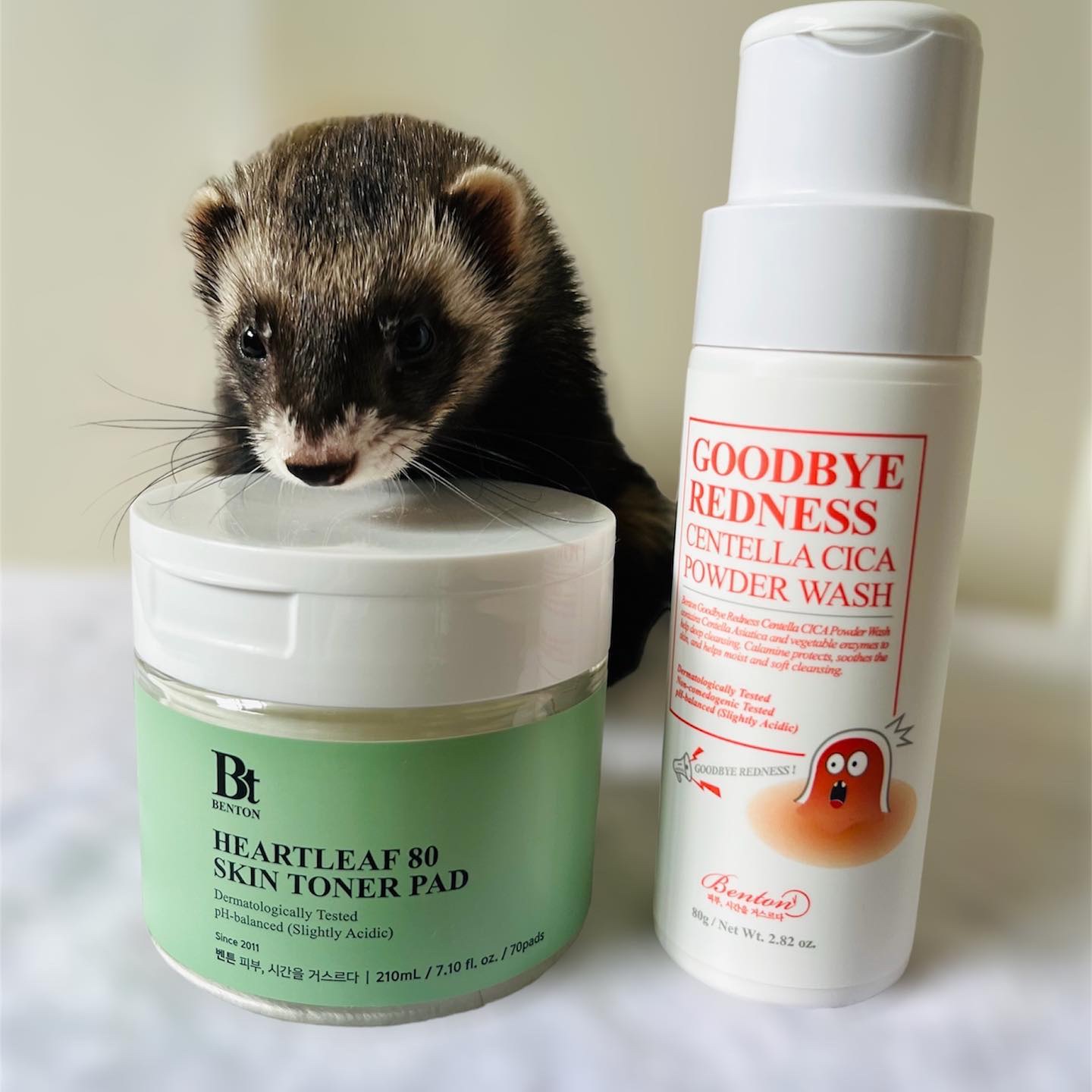 グッバイレッドネス センテラ パウダーウォッシュ 80g/BENTON/洗顔パウダーを使ったクチコミ（2枚目）