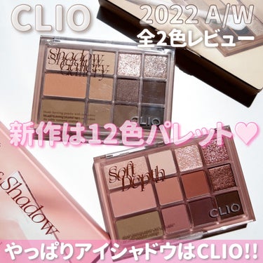 シェード アンド シャドウ パレット/CLIO/アイシャドウパレットを使ったクチコミ（1枚目）