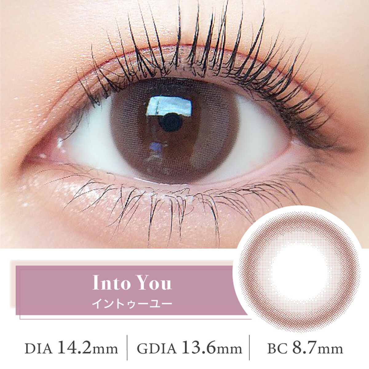 ルイ バイ カラーマジョリティー  イントゥーユー