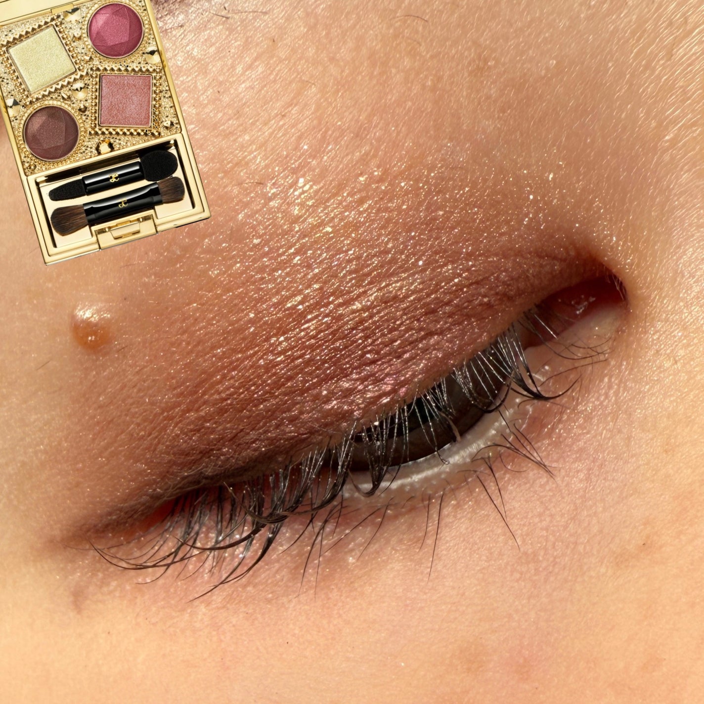 エレガンス コフレ パルピタン/Elégance/メイクアップキットを使ったクチコミ(1枚目)