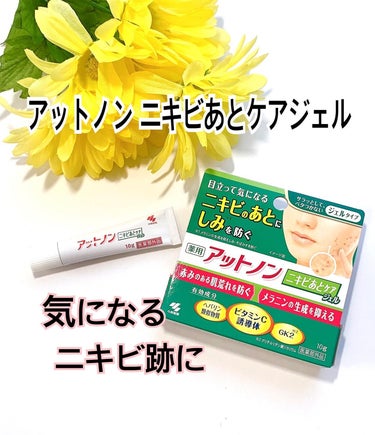 ☘アットノン ニキビあとケアジェル

医薬部外品  10g 1,300円
 
目立って気になるニキビのあとに
しみ※を防ぐ
（※メラニンの生成を抑え、しみ、そばかすを防ぐ）

☆４つの特徴
①目立って気