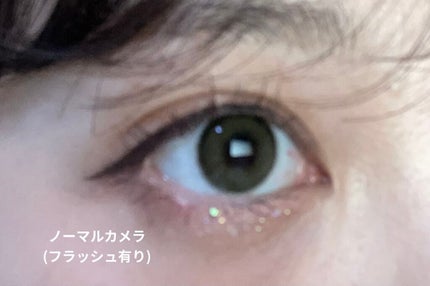 ミラーホリック リキッドアイズ/ETUDE/リキッドアイシャドウを使ったクチコミ(3枚目)