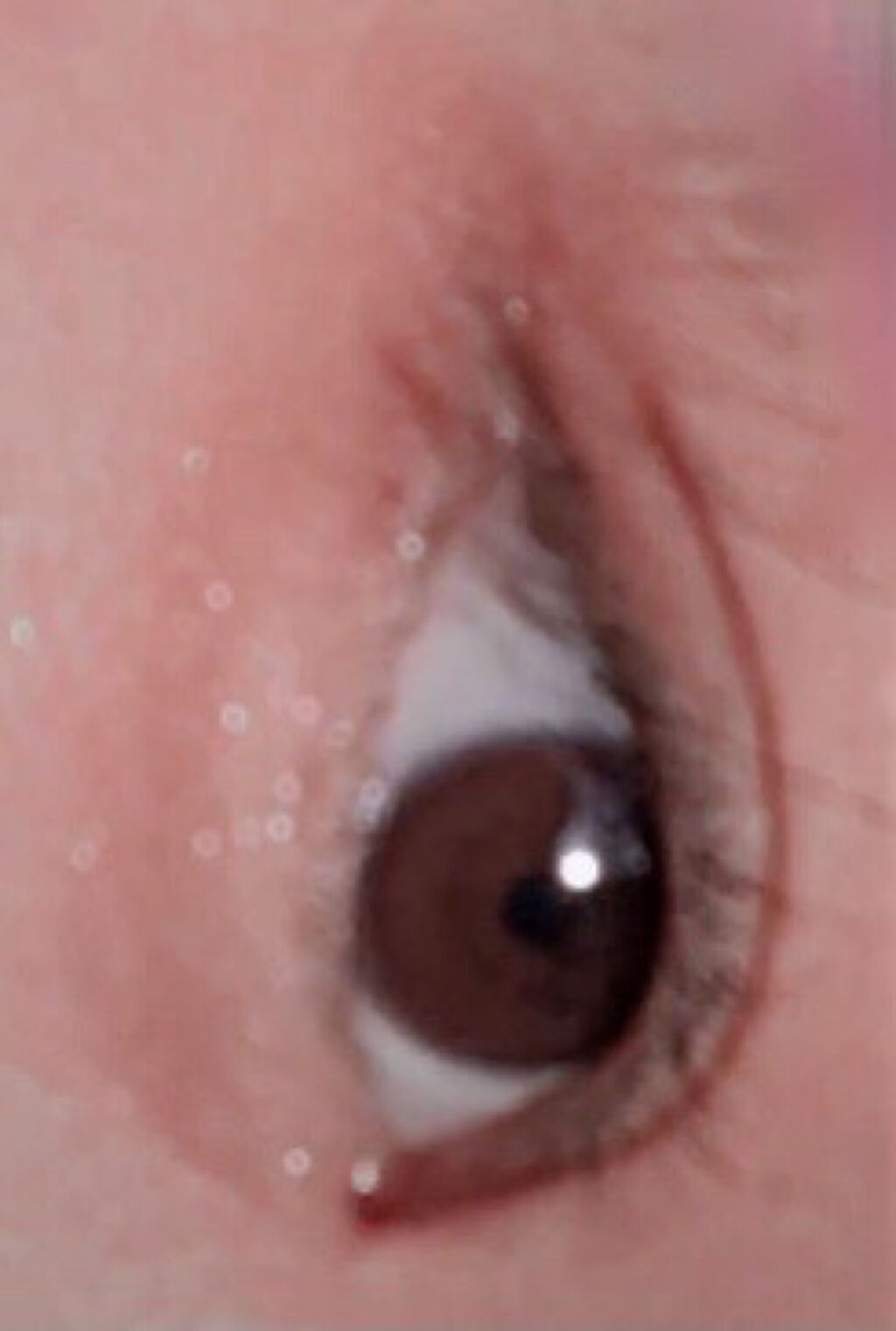 パーフェクトマルチアイズ/キャンメイク/アイシャドウパレットを使ったクチコミ（1枚目）