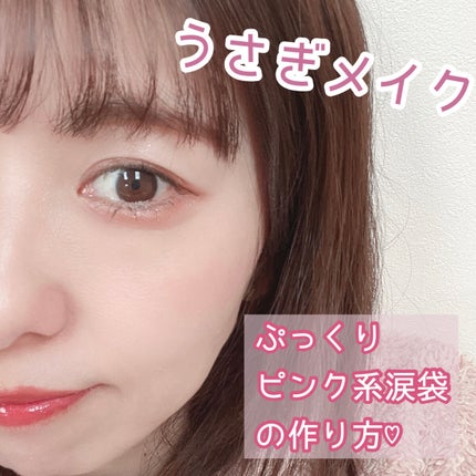 パノラマデザイン アイパレット/Visée/アイシャドウパレットを使ったクチコミ(1枚目)